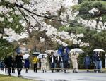 皇居・乾通り、春の公開始まる