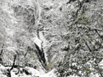 猿尾滝も雪化粧 但馬地域冷え込む