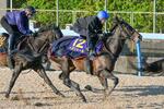 競馬、ヘデントール万全仕上がり
