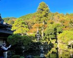 「まるで絵画」絶景堪能 石谷家住宅で庭園特別公開