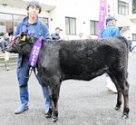 田中さん(村岡)1等1席 香美町子牛品評会後期