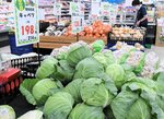 キャベツ高すぎる 深刻な品不足、一時800円も