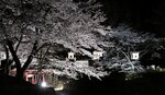 古き良き夜桜 旧美歎水源地 7日までライトアップ