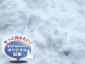 【ネットオリジナル】雪にできたくぼみ、なぜ青く見える?