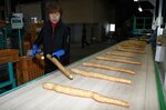 まずまずの出来栄え 北栄で特産長芋とねばりっこ出荷式