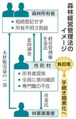 森林管理集約で伐採促進