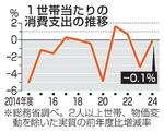 24年度の消費支出、0・1%減