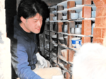 福光焼 2年半ぶり窯出し 「良い感じに焼けた」 倉吉