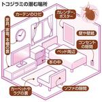 厄介者トコジラミを駆除、新殺虫剤で対策