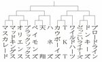 早起き野球鳥取組み合わせ決定 19日開幕