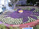 鳥取の冬、華やカニ 鳥取駅前の花時計植え替え