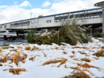 平野部で今季初積雪 鳥取8センチ、週末再び寒気か
