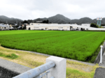 町、新築移転を検討 現在地近くの農地候補 浜坂こども園