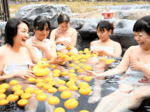 香り「癒やされる~」 三朝温泉河原風呂、冬至恒例ゆず湯