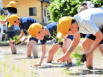 泥まみれでも丁寧に 射添小児童が田植え