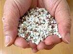 新開発肥料でコメ収穫増