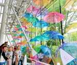 梅雨空に雨傘カーテン JR松江駅前、市民癒やす