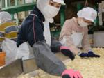 農作業の人手不足解消へ 農繁期に外国人材受け入れ 鳥取県のモデル事業スタート