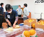 甘さ、玉太り良好 クレオパトラメロン 湯梨浜で査定会