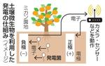 土壌微生物の特性生かし農業現場で発電
