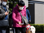 点字ブロック、音声も 県設置 鳥取駅南で体験会
