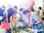 野菜、花求めにぎわう 照来ふれあい市始まる