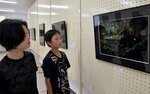 無数にきらめくヒメボタル 日野学園で写真展