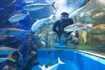 111年前創立最古の水族館、来場8百万人