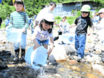 「大きくなってね」 ちづ保育園児稚アユ放流