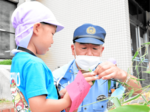 交通事故なくして! 美方署 園児が短冊飾り付け
