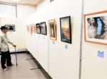 互いの個性光る33枚 2人の中村さん写真展 八田コミセン
