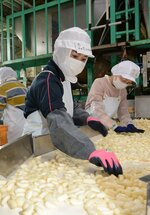 【新着】農作業の人手不足解消へ 農繁期に外国人材受け入れ 鳥取県のモデル事業スタート