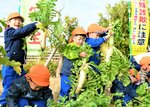 事故と詐欺を〝大根〟絶 鳥取署で栽培、園児収穫