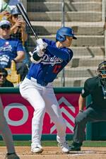 大谷、二塁打含む4打数2安打