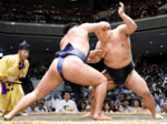伯桜鵬 確かな手応え 大相撲・夏場所回顧 横綱、大関と真っ向勝負