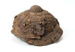 重文級?古代甲冑見つかる