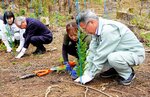 エリートツリーを植樹 国府 初出荷記念、メリット多彩