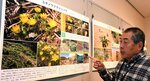 県指定の希少植物32種紹介 大山自然歴史館で企画展