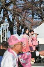 15年ぶりの「さくら祭り」