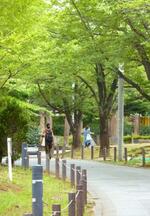 【ぷらっとTOKYO】移転後も残る大学の記憶 都立大学駅かいわい