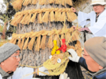恵みもたらす、わらの竜 境港・渡で「龍巻神事」