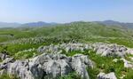 秋吉台、世界ジオパークに推薦