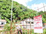 香美町開発「おじろ用心棒」功労賞 霊長類学会、サル侵入防止成果