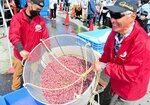 産地で旬の味堪能 浜坂みなとほたるいか祭り