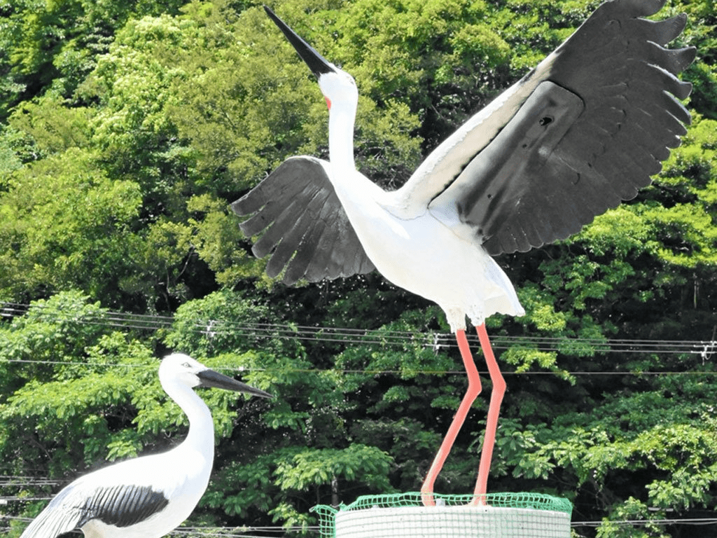実物大オブジェでコウノトリ呼び込む 本物ペア定着に期待 香美町