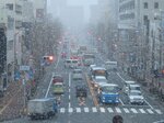 大山で32センチ、境港で2センチ 23日11時現在
