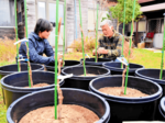 鉢植えブドウでワイン 「特区」倉吉でプロジェクト 収穫は3年後 愛好家「粋なこと」
