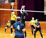 300人熱戦、爽やか汗 美方郡スポーツ大会 4年ぶり完全開催