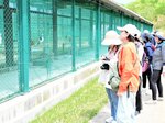 非公開エリアで観察 県立コウノトリの郷公園 特別ガイドウオーク