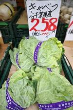 キャベツ価格高騰、2・5倍に